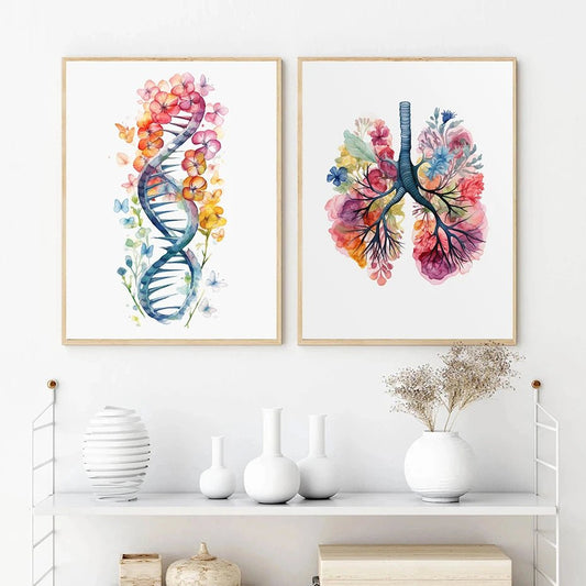Poster zur Anatomie der menschlichen Organe – Be Dr.Fashion