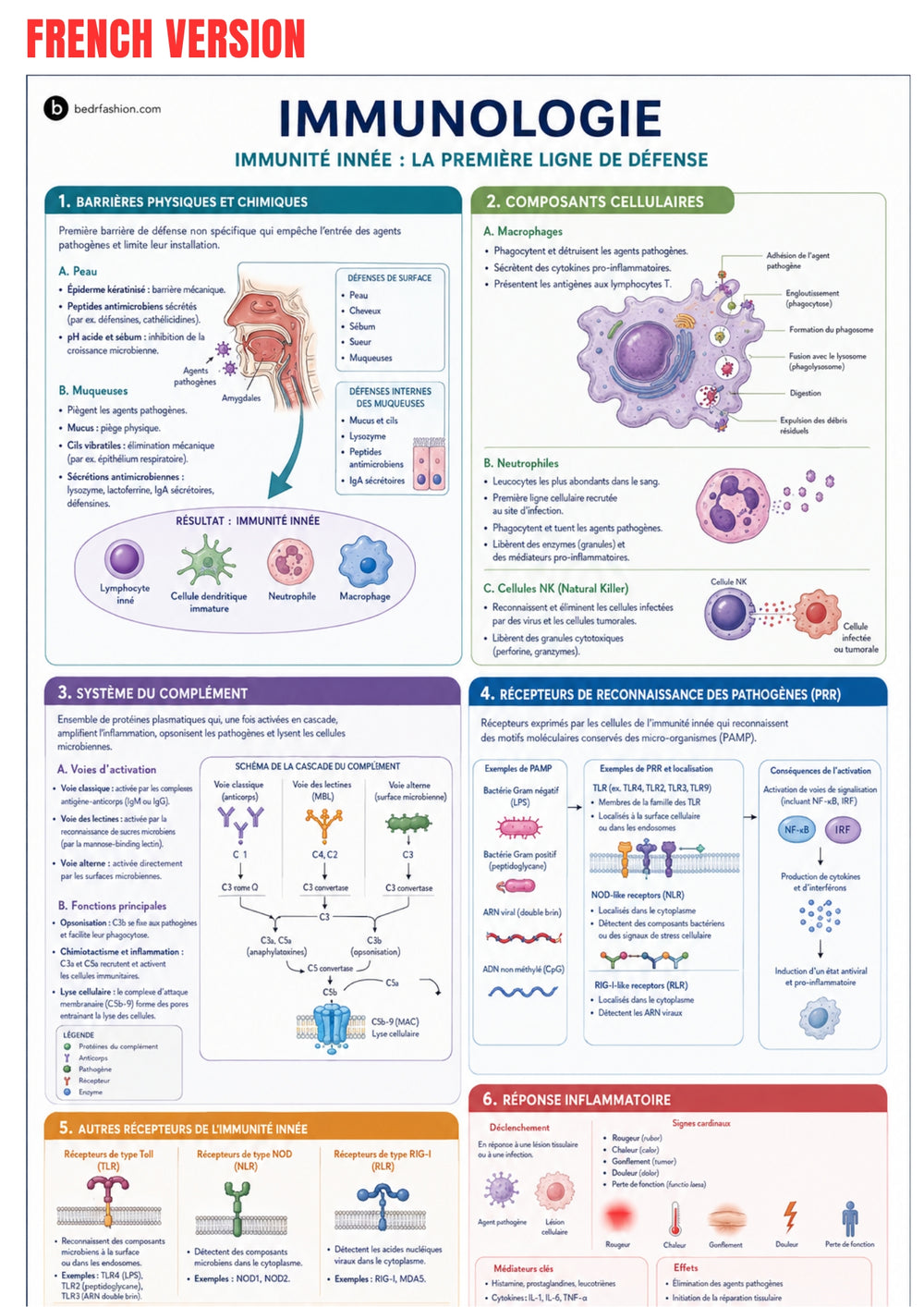 Immunology Guide eBook