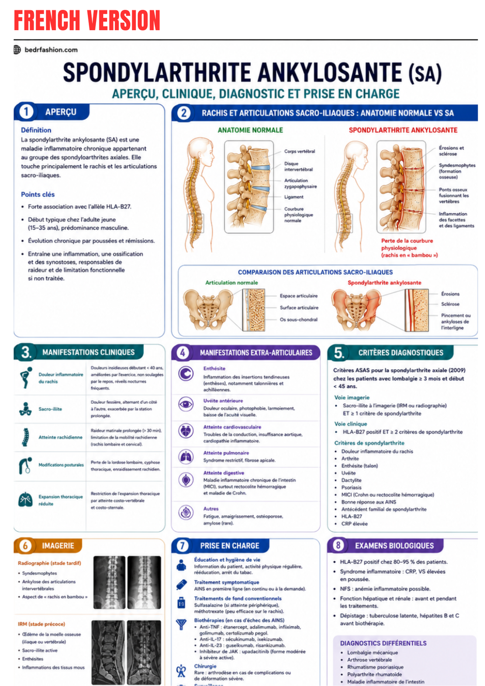 Clinical Rheumatology Guide Ebook