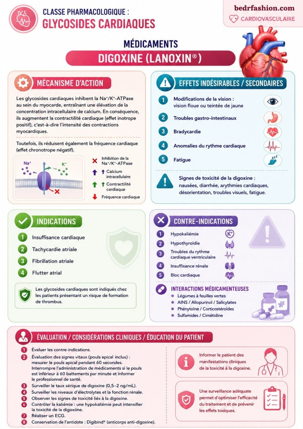 Pharmacologie Ebook