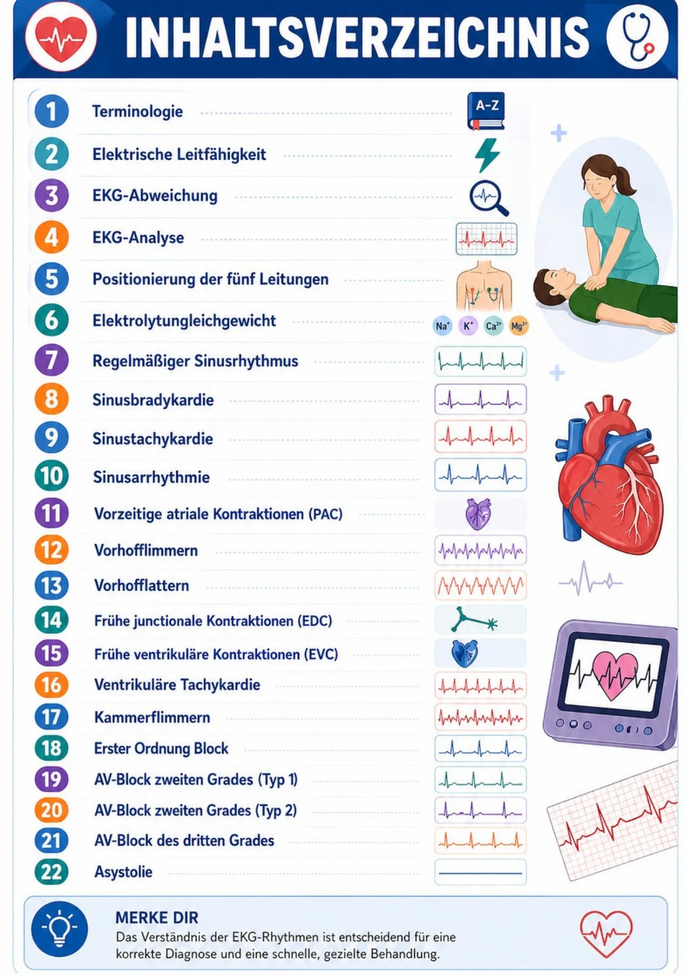 EKG Lernfaden