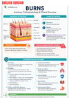 Guide Numérique Soin Brûlures