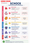 Guide Numérique Soins D Urgence