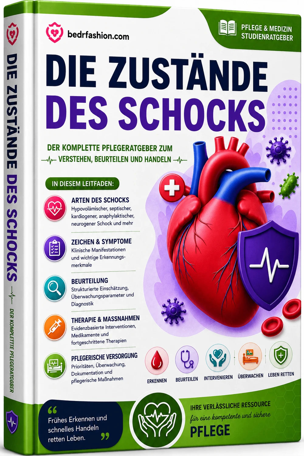 Guide Numérique Soins D Urgence