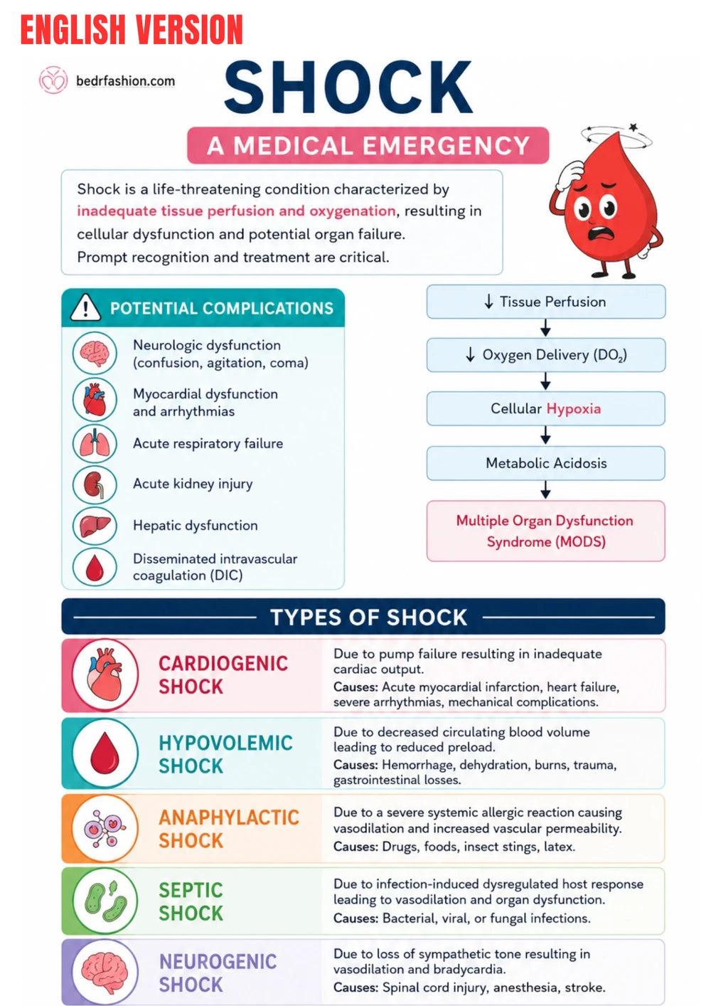 Guide Numérique Soins D Urgence