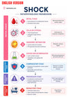 Guide Numérique Soins D Urgence