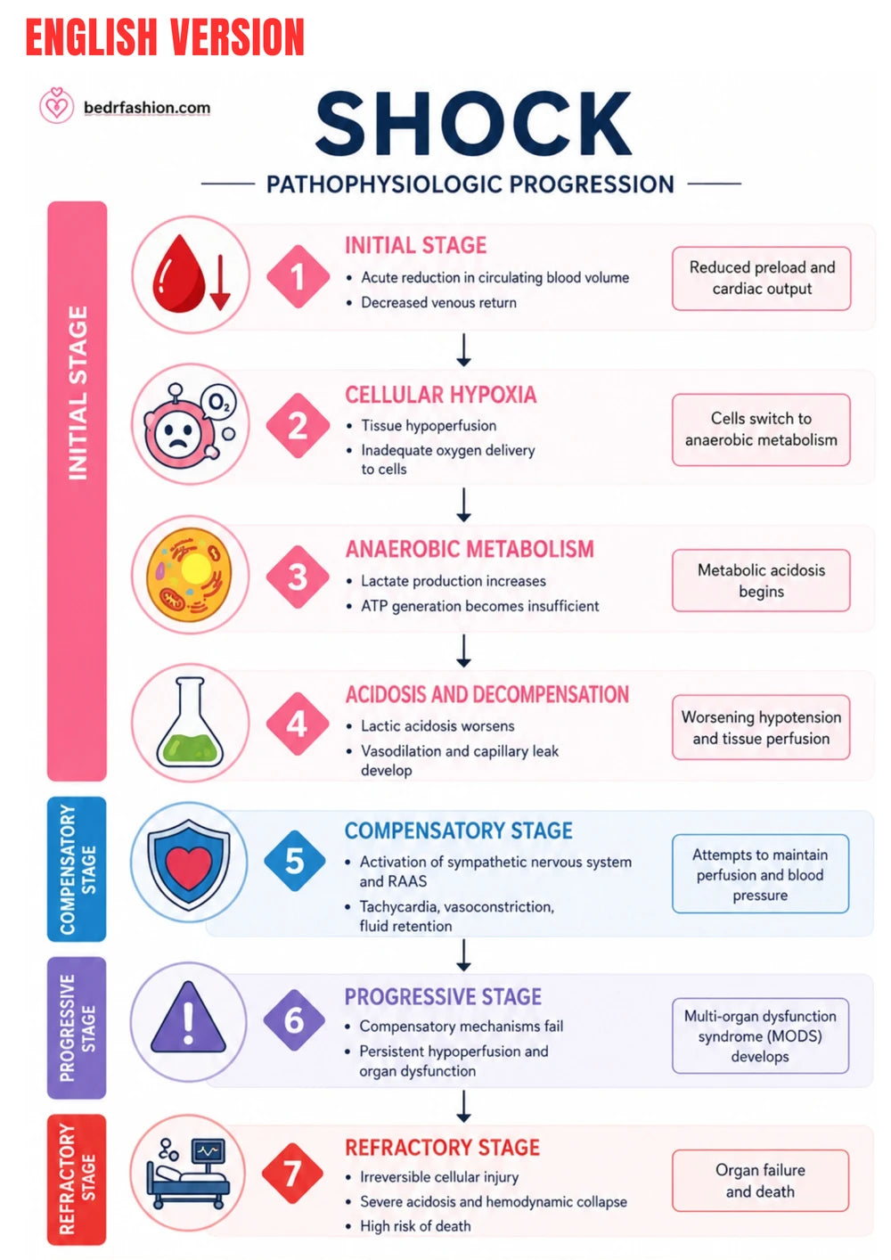 Guide Numérique Soins D Urgence