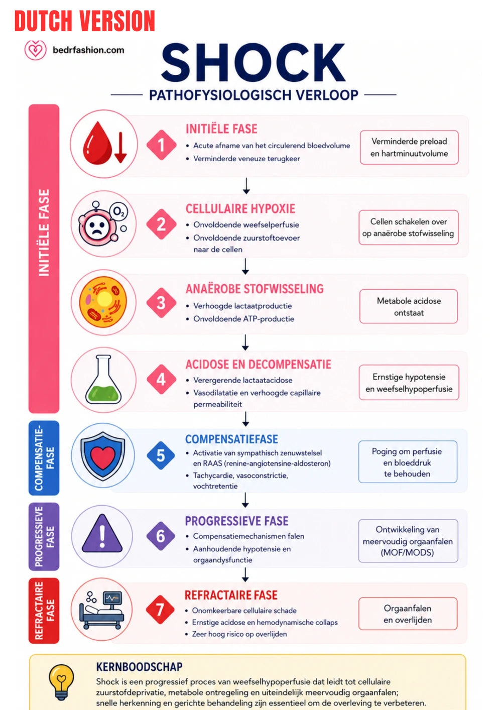 Guide Numérique Soins D Urgence
