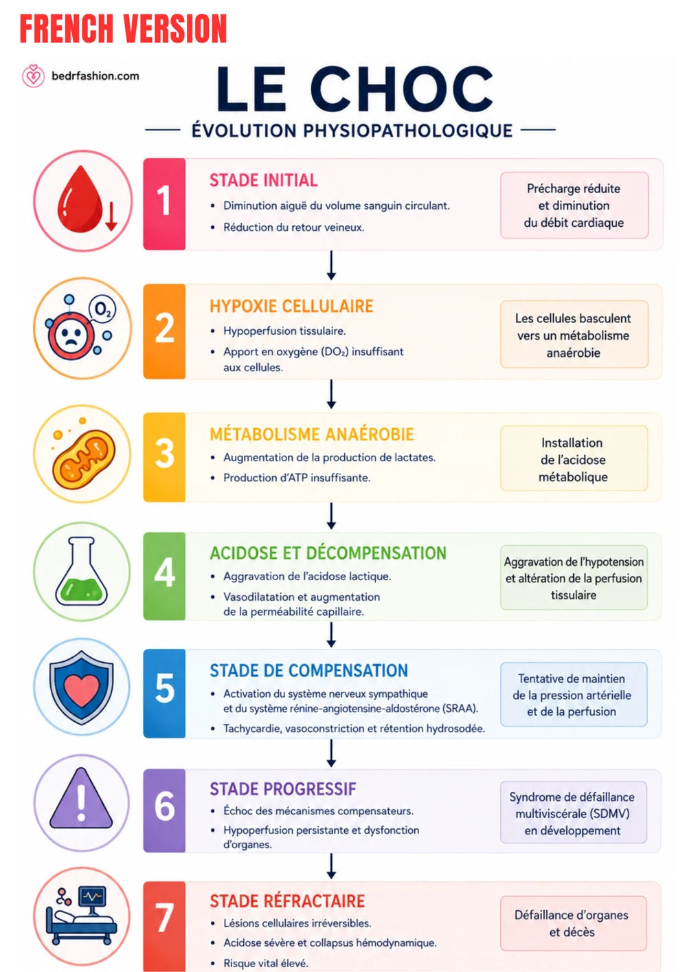Guide Numérique Soins D Urgence
