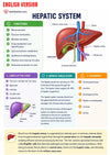 Anatomie Physiologie E-Book