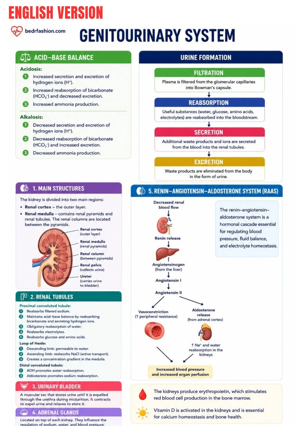Anatomie Physiologie E-Book