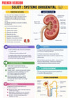 Anatomie Physiologie E-Book