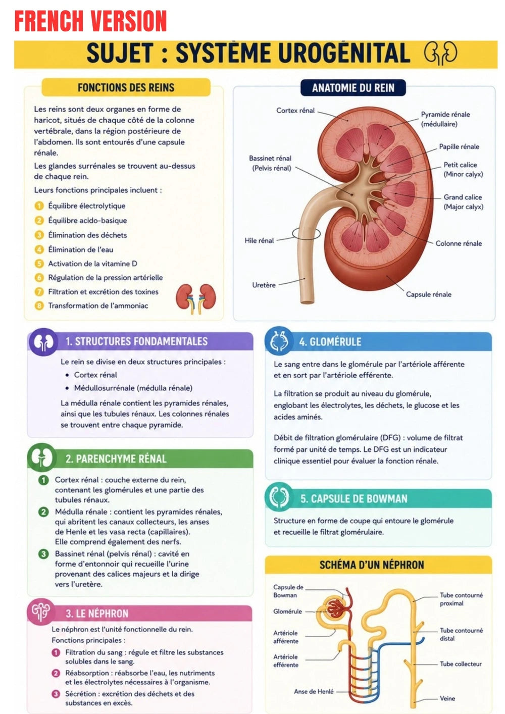 Anatomie Physiologie E-Book