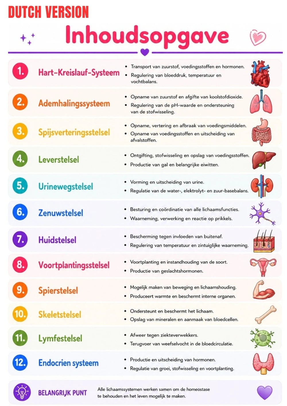 Anatomie Physiologie E-Book