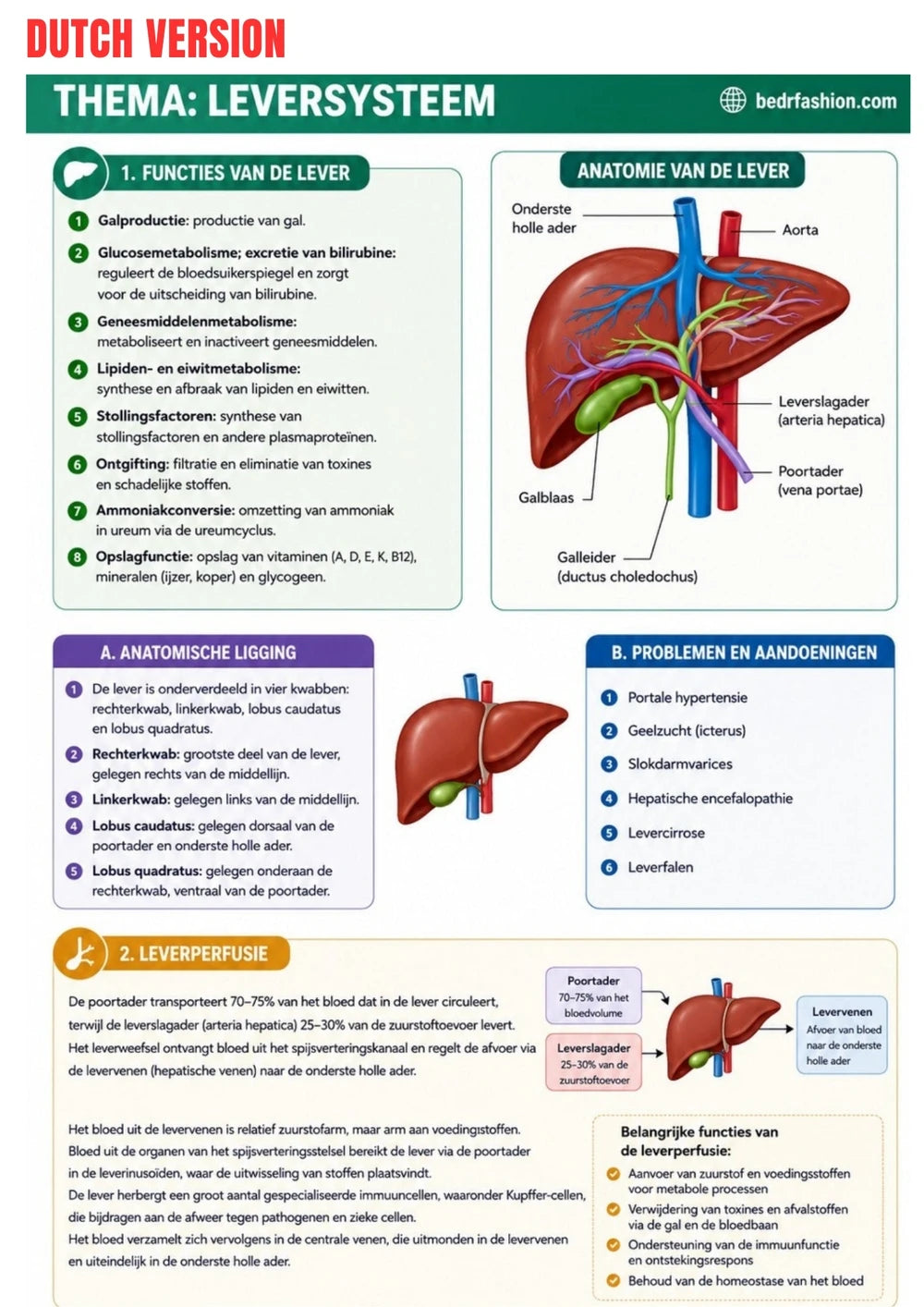 Anatomie Physiologie E-Book