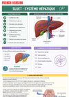 Anatomie Physiologie E-Book
