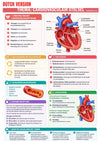 Anatomie Physiologie E-Book