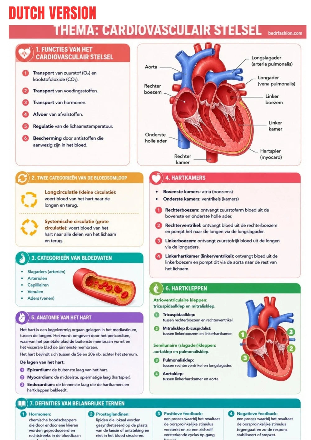 Anatomie Physiologie E-Book
