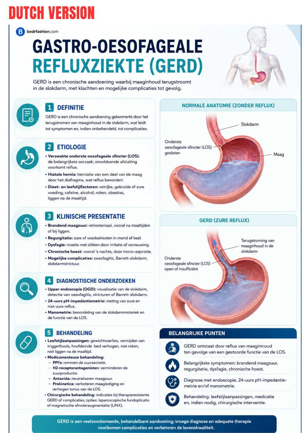 Gastroenterologie Klinischer Leitfaden E-Book