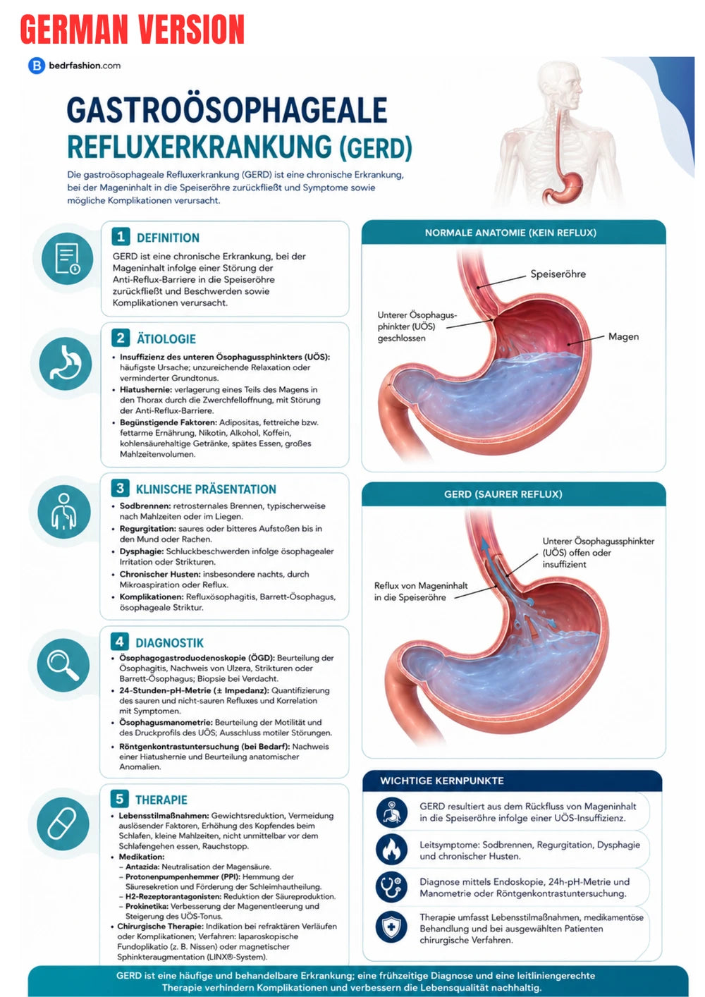 Gastroenterologie Klinischer Leitfaden E-Book