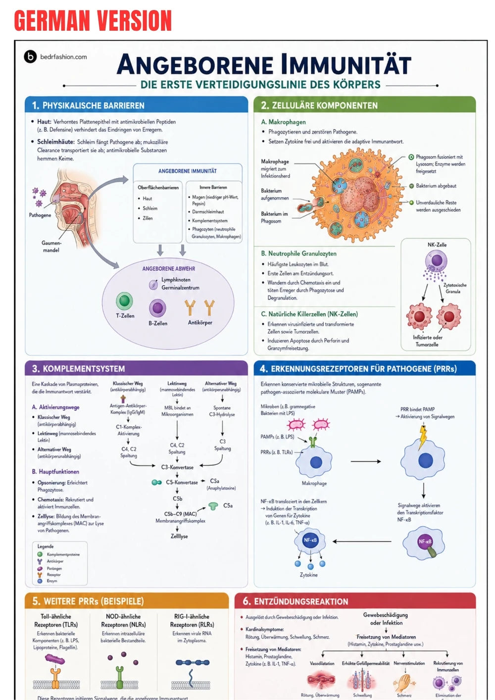 Immunologie E-Book