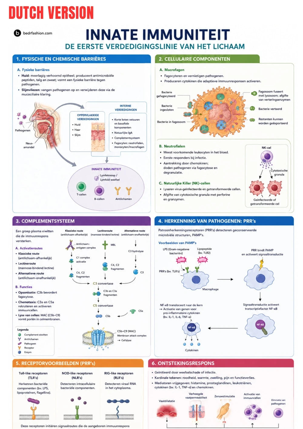 Immunologie E-Book