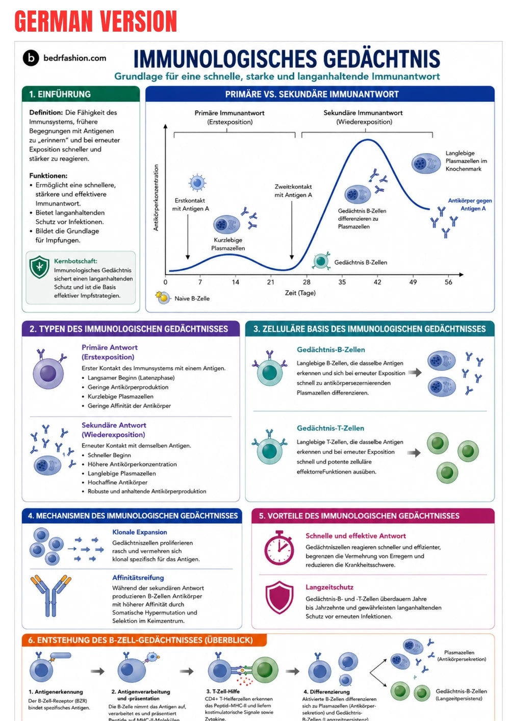 Immunologie E-Book
