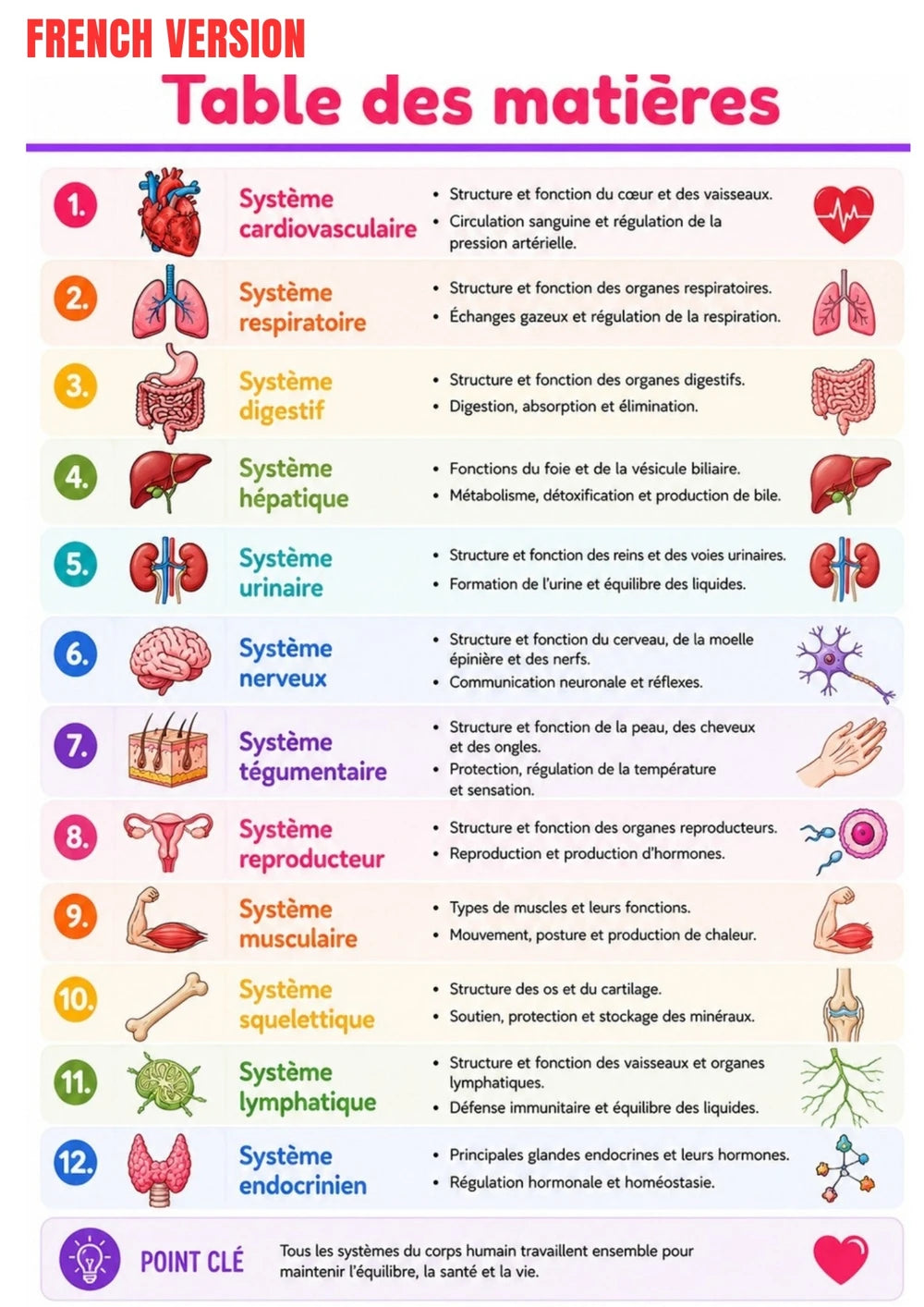 Anatomie Fysiologie E-book