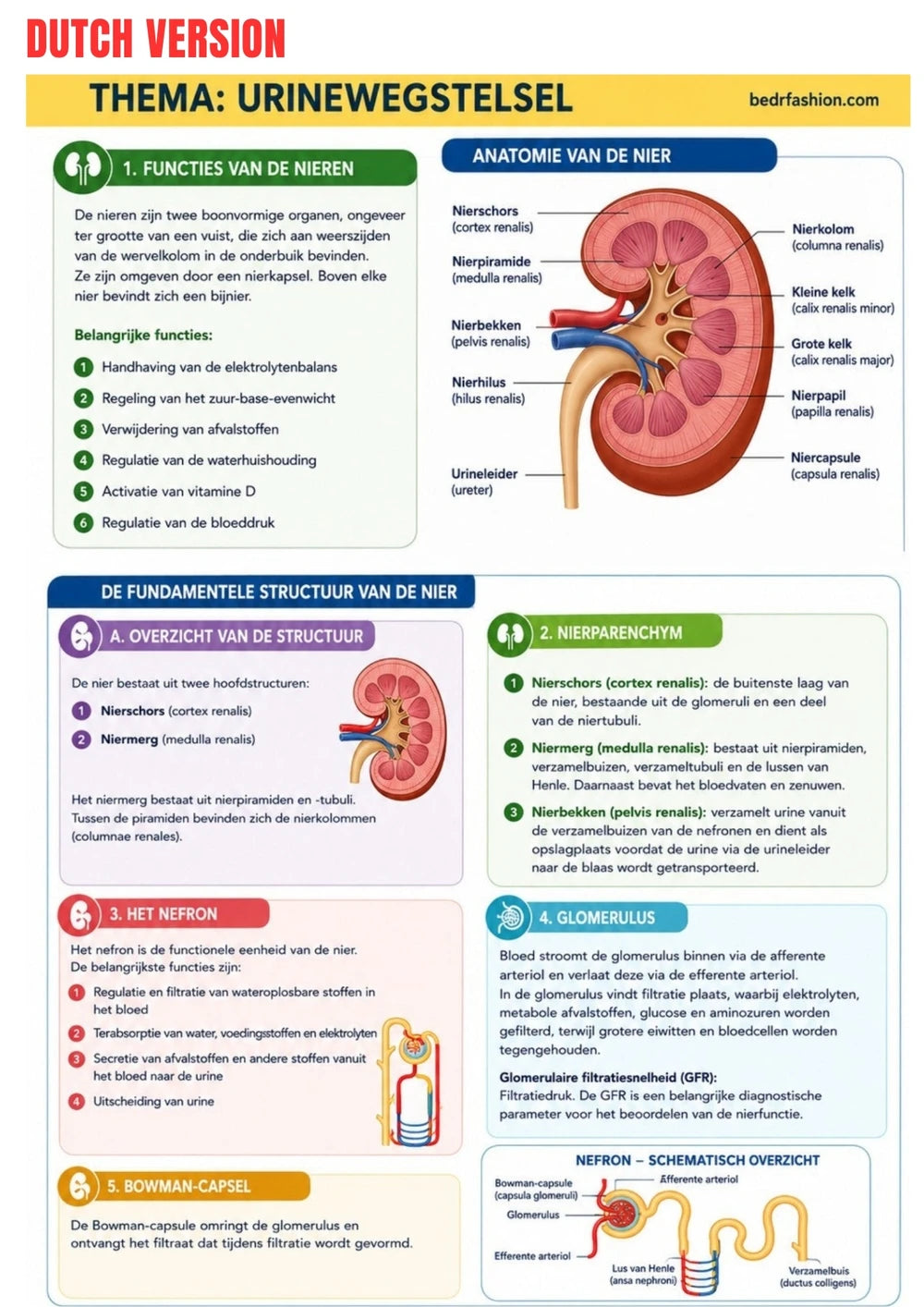 Anatomie Fysiologie E-book