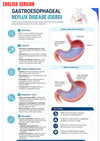 Gastroenterologie Klinische Gids Ebook