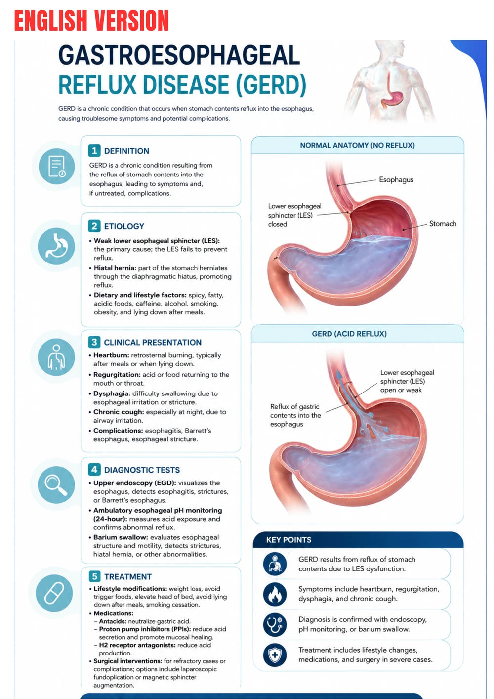 Gastroenterologie Klinische Gids Ebook