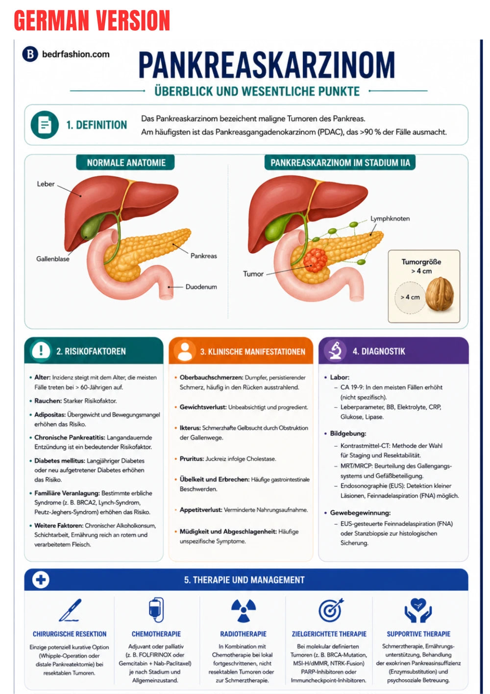 Gastroenterologie Klinische Gids Ebook