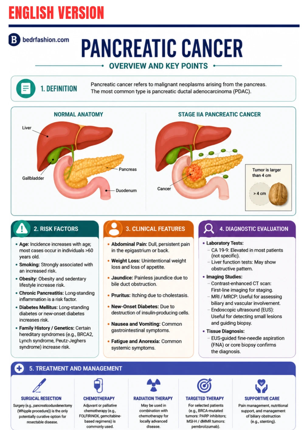 Gastroenterologie Klinische Gids Ebook