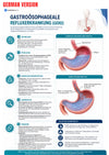 Gastroenterologie Klinische Gids Ebook