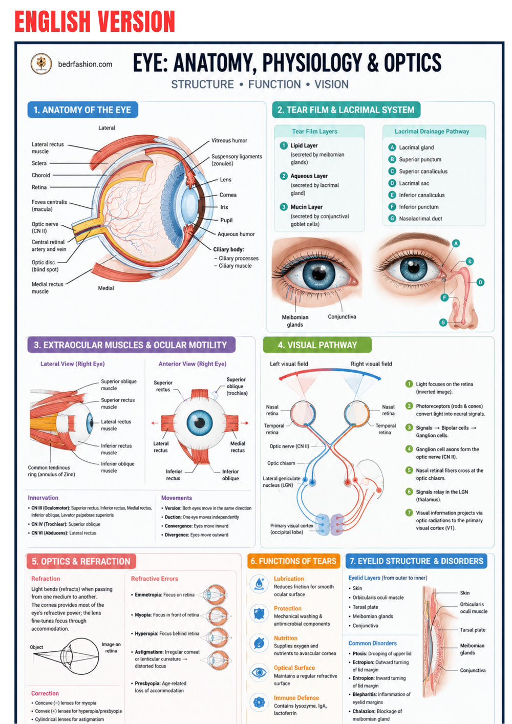 Practical Ophthalmology Ebook