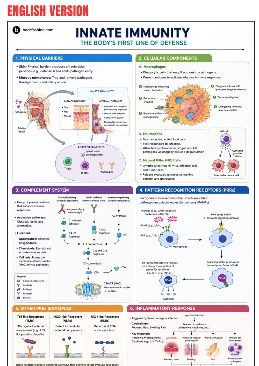 Immunology Guide eBook
