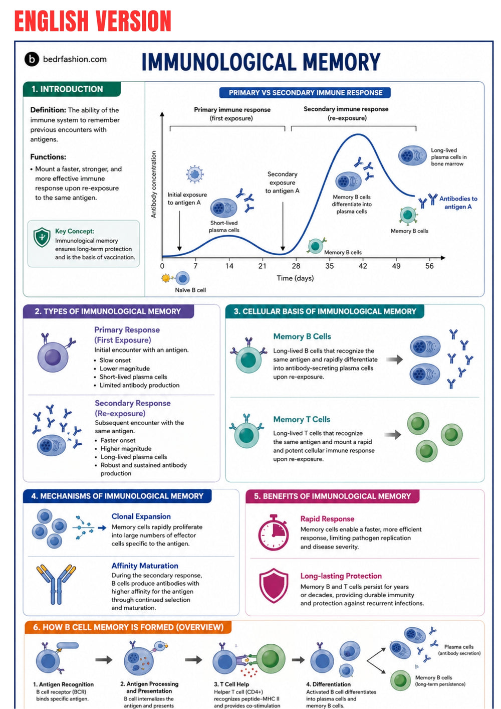 Immunology Guide eBook