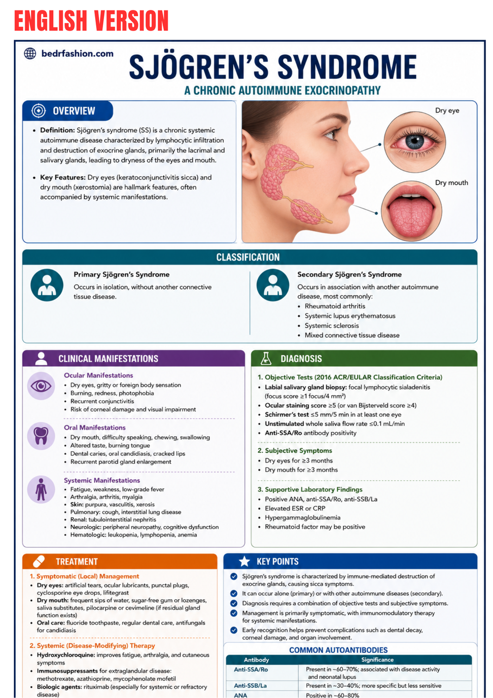 Clinical Rheumatology Guide Ebook