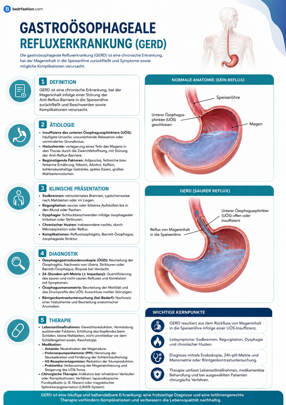 Gastroenterologie Klinischer Leitfaden E-Book