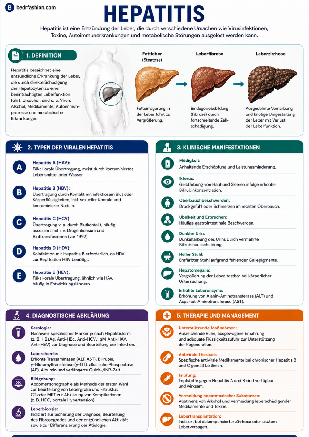 Gastroenterologie Klinischer Leitfaden E-Book