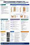 Klinischer Rheumatologie E-Book Leitfaden