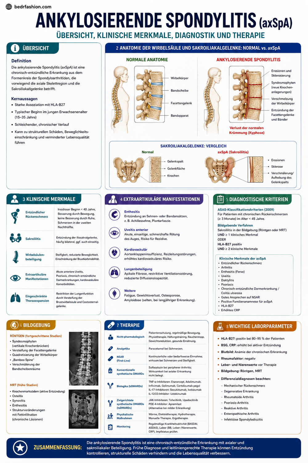 Klinischer Rheumatologie E-Book Leitfaden