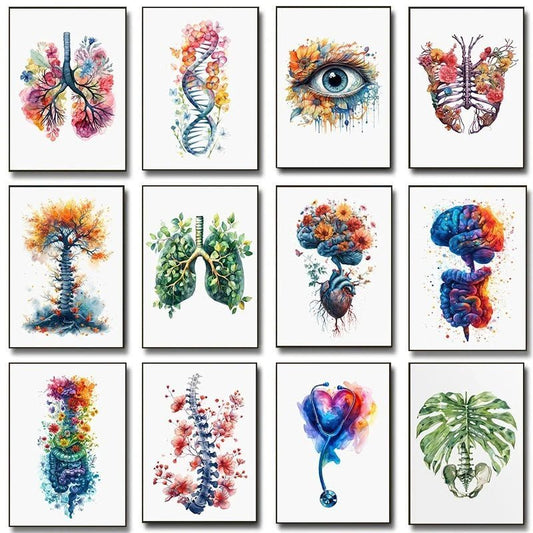 Poster zur Anatomie der menschlichen Organe – Be Dr.Fashion