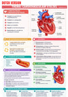 Anatomy & Physiology Ebook - Be Dr.Fashion