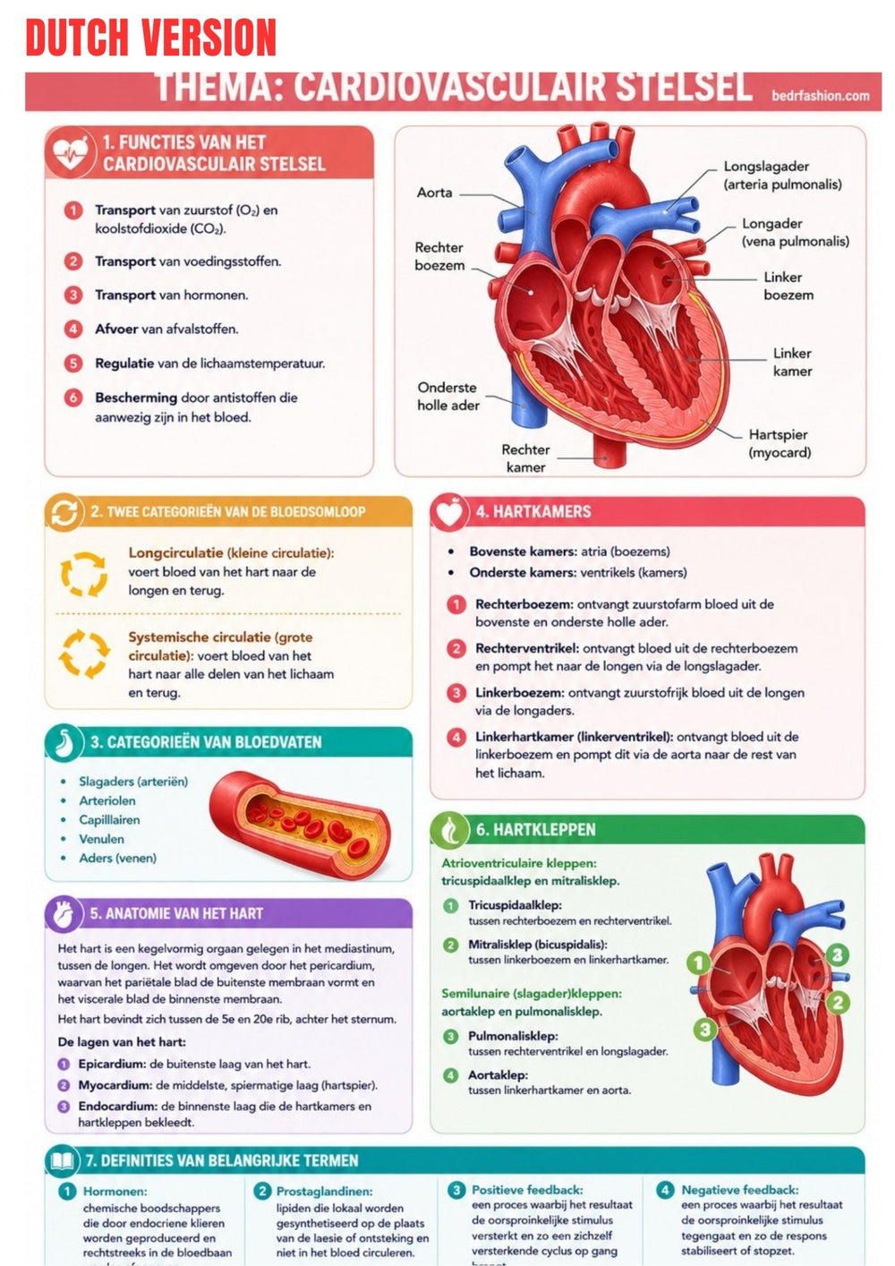 Anatomy & Physiology Ebook - Be Dr.Fashion