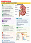 Anatomy & Physiology Ebook - Be Dr.Fashion