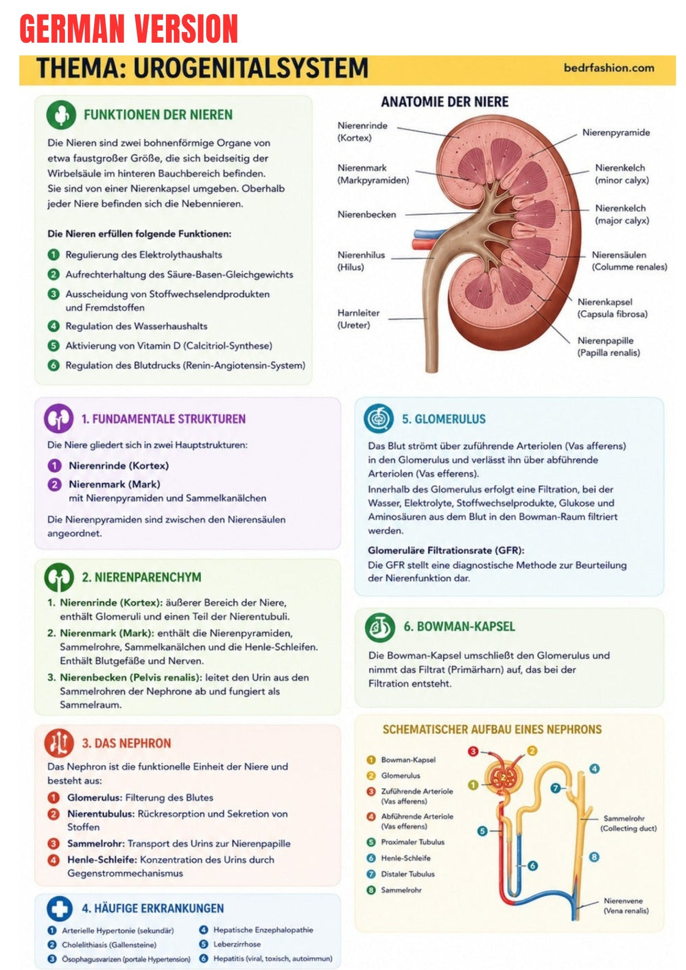 Anatomy & Physiology Ebook - Be Dr.Fashion
