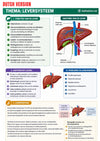 Anatomy & Physiology Ebook - Be Dr.Fashion