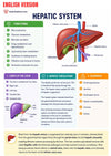 Anatomy & Physiology Ebook - Be Dr.Fashion