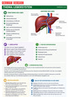 Anatomy & Physiology Ebook - Be Dr.Fashion